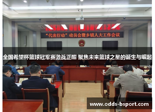 全国希望杯篮球冠军赛激战正酣 聚焦未来篮球之星的诞生与崛起
