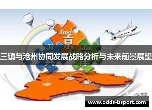 三镇与沧州协同发展战略分析与未来前景展望