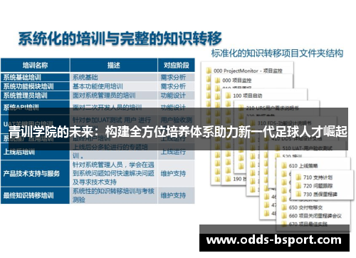 青训学院的未来：构建全方位培养体系助力新一代足球人才崛起