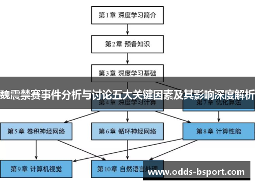 魏震禁赛事件分析与讨论五大关键因素及其影响深度解析