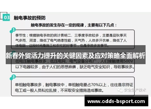 新春外贸活力提升的关键因素及应对策略全面解析