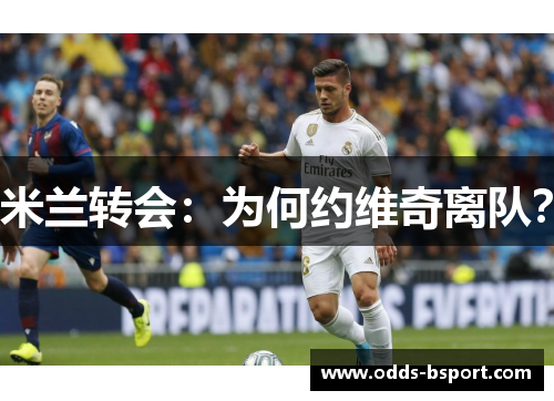 米兰转会：为何约维奇离队？