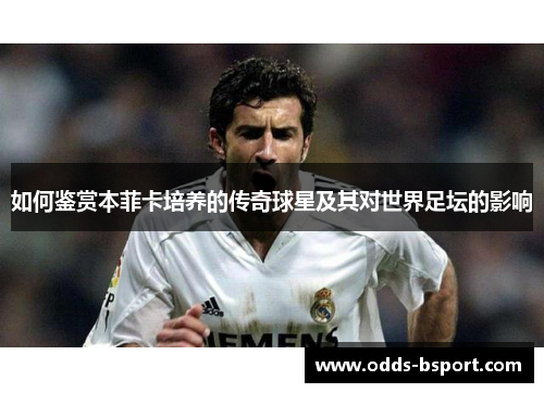 如何鉴赏本菲卡培养的传奇球星及其对世界足坛的影响