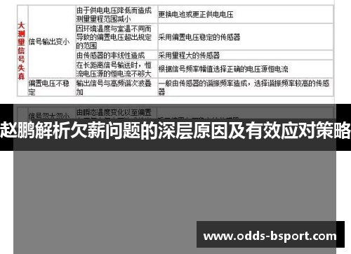 赵鹏解析欠薪问题的深层原因及有效应对策略