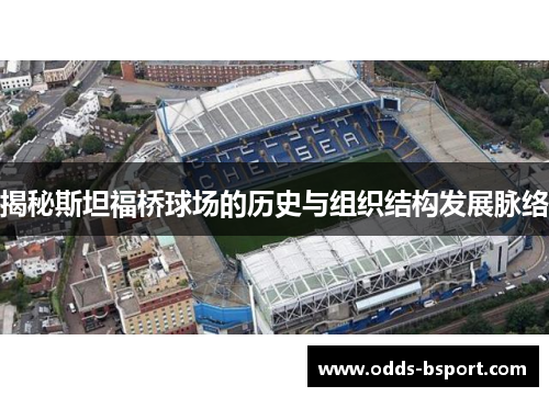 揭秘斯坦福桥球场的历史与组织结构发展脉络