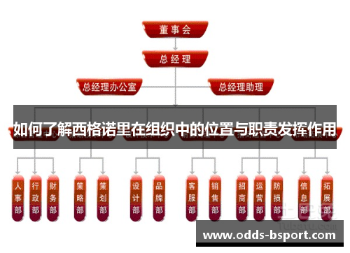 如何了解西格诺里在组织中的位置与职责发挥作用