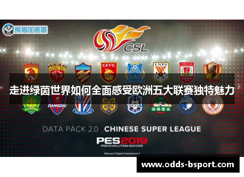 走进绿茵世界如何全面感受欧洲五大联赛独特魅力 走进绿茵世界如何全面感受欧洲五大联赛独特魅力