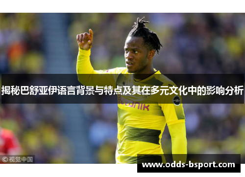 揭秘巴舒亚伊语言背景与特点及其在多元文化中的影响分析