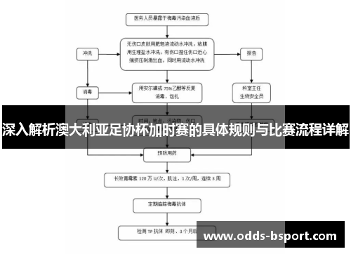 深入解析澳大利亚足协杯加时赛的具体规则与比赛流程详解 深入解析澳大利亚足协杯加时赛的具体规则与比赛流程详解