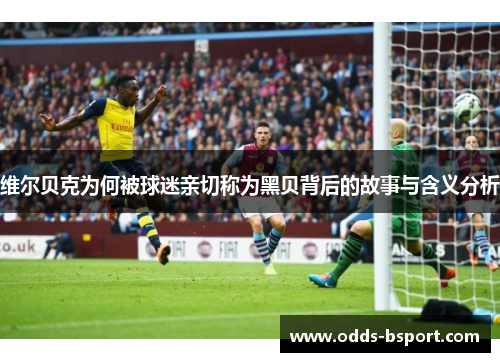 维尔贝克为何被球迷亲切称为黑贝背后的故事与含义分析